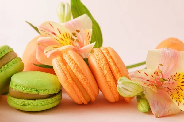 Many Beige Green French Macaroon Cookies Yellow Flower Light Background — Stock Photo, Image