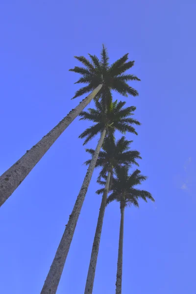 Natureza e sua beleza