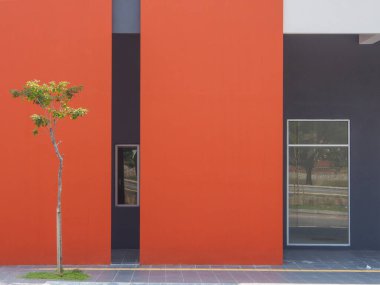 Arkasında koyu gri duvarlar olan turuncu bir duvar dikdörtgen cam pencereli ve önünde gri küp döşemeleri olan küçük bir ağaç var..