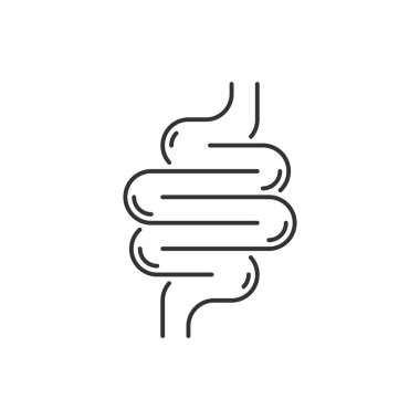 Intestine icon. Bowel symbol. Human anatomy, guts or intestinal tract vector illustration. Digestion sign. Abdominal gastric belly icon isolated.