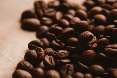 ışık kağıt üzerinde koyu kahve çekirdekleri yakın çekim