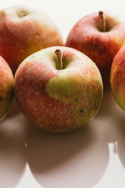 ışık beyaz zemin üzerine taze kırmızı elmalar