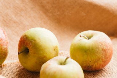 arka plan çuval bezi üzerinde birkaç taze kırmızı elma