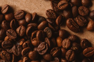 ışık kağıt üzerinde koyu kahve çekirdekleri yakın çekim