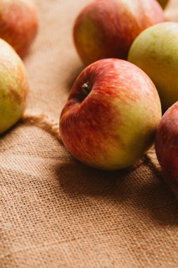 arka plan çuval bezi üzerinde birkaç taze kırmızı elma