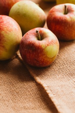arka plan çuval bezi üzerinde birkaç taze kırmızı elma