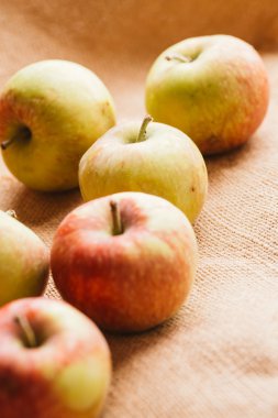 arka plan çuval bezi üzerinde birkaç taze kırmızı elma