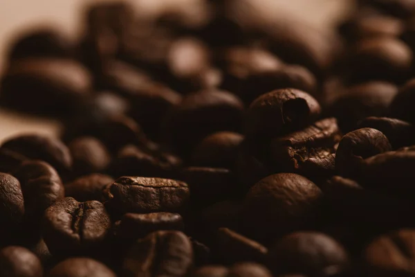 ışık kağıt üzerinde koyu kahve çekirdekleri yakın çekim