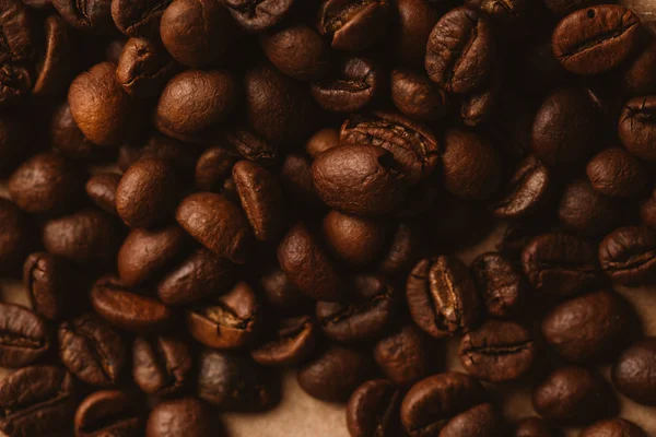 ışık kağıt üzerinde koyu kahve çekirdekleri yakın çekim