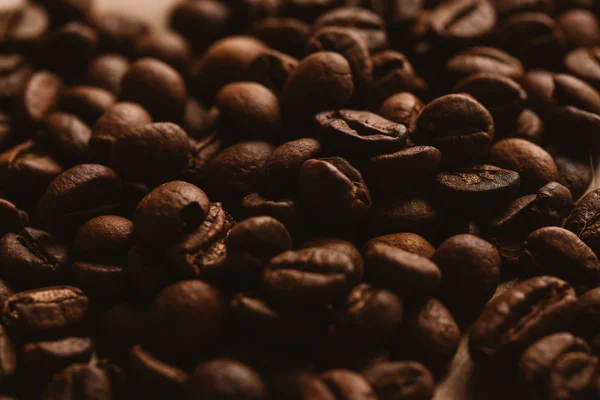 ışık kağıt üzerinde koyu kahve çekirdekleri yakın çekim