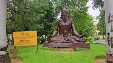 Ayurveda 'nın doğal iyileştirme gücü. Yüksek kalite 4k görüntü