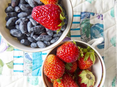 Çilekli güzel bir fotoğraf, hanımeli. Doğal arka plan. Yaz günü..