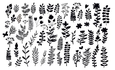 Büyük bir çiçek ve bitki seti. Vektör toplama yaprağı. El yapımı klasik çiçek malzemeleri. Düğün davetiyeleri ve doğum günü kartları için mükemmel. Moda tasarımı için evrensel şablon koleksiyonu..