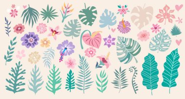 Tropikal palmiye yaprakları ve egzotik çiçekleri olan güzel bir set. Çizgi film stilinde şirin vektör elementleri. Sanat, posterler, tekstil, düğün davetiyesi, kart vektörü illüstrasyonu.  