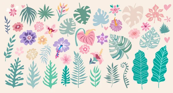 Hermoso Gran Conjunto Con Hojas Palma Tropical Flores Exóticas Lindos — Vector de stock