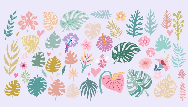 Hermoso Gran Conjunto Con Hojas Palma Tropical Flores Exóticas Lindos — Vector de stock