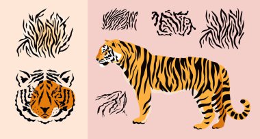 Safari, kaplan ve hayvan resimleri. Baş kaplan. Egzotik vahşi hayvan derisi. Safari baskısı. Vektör illüstrasyonu.