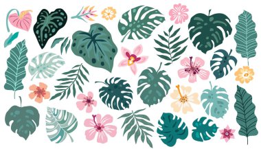 Tropik Çiçek Kümesi 4