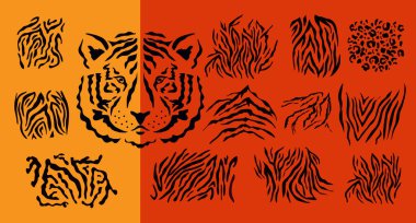  Abctract set elements  safari animal prints. Face head tiger. Exotic wild animal skin. Safari print. Vector illustration.