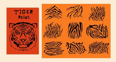  Safari hayvanlarının parmak izlerini al. Baş kaplan. Egzotik vahşi hayvan derisi. Safari baskısı. Vektör illüstrasyonu.