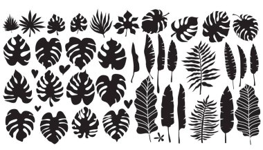Tropikal palmiye yaprakları ve egzotik çiçekleri olan güzel bir set. Çizgi film stilinde şirin vektör elementleri. Tasarımınız için, posterler, tekstil, düğün davetiyesi, iş ürünleri. Vektör illüstrasyonu.  