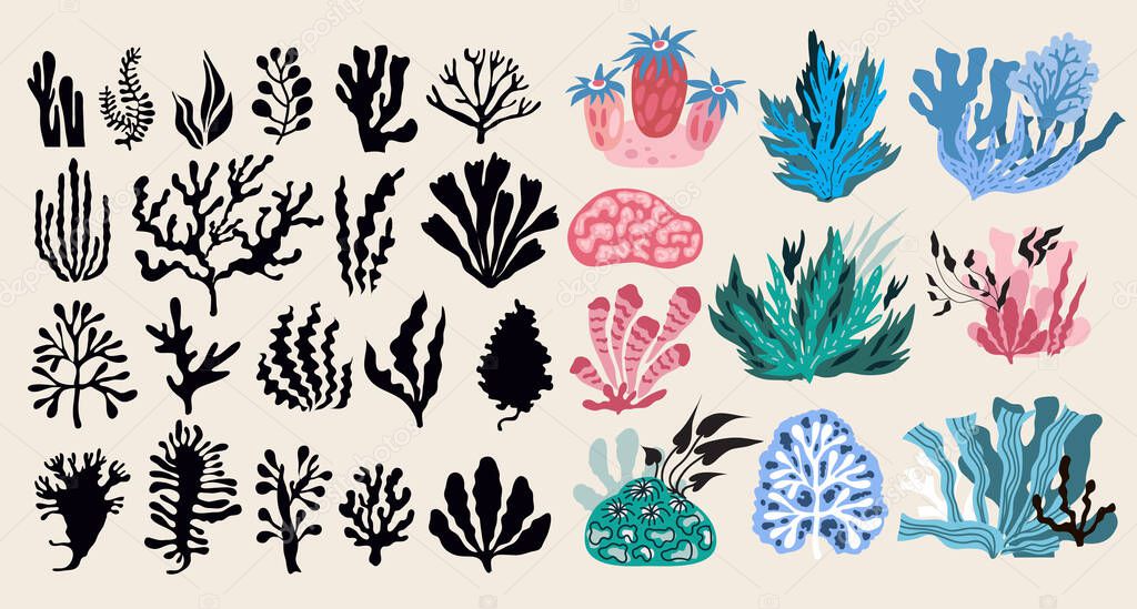 Cartoon  big  set with differents seaweeds  and colals.  Beautiful doodle underwater marine life, coral reef, underwater plants. textile For your design, posters, travel,  business products. Vector flat  illustration  