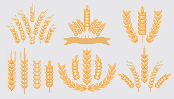 컬렉션 Wheat Ears Icons Logo Icon Set Cereals Sketch 유기농 — 스톡 벡터