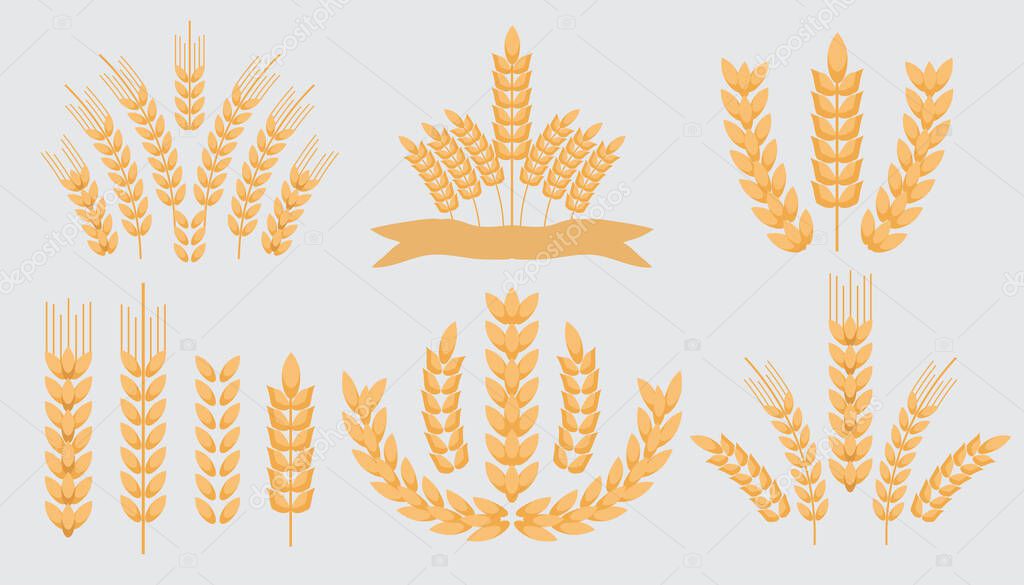 Collection Wheat Ears Icons and Logo  Icon Set, Cereals sketch.  Organic Wheat, agricultural bread and natural food,  Malt  Beer background. Autumn harvest design  Vector flat illustration