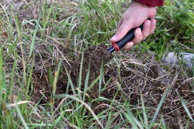 Kürekle toprak kazıyorum.