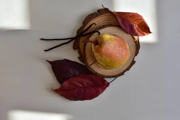 Armut ve vanilya, sonbahar yapraklarıyla hayat.