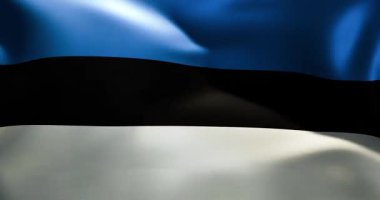 Estonya bayrağı 30 saniye dalgalanıyor 4K yüksek kaliteli 60fps video