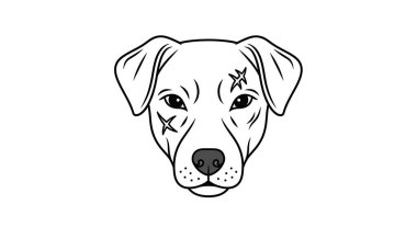 Yıldız sembollü bir köpeğin basit siyah-beyaz çizimi