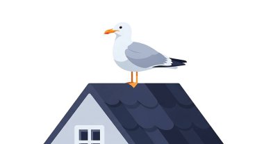 Çatıya tünemiş bir martının tasviri