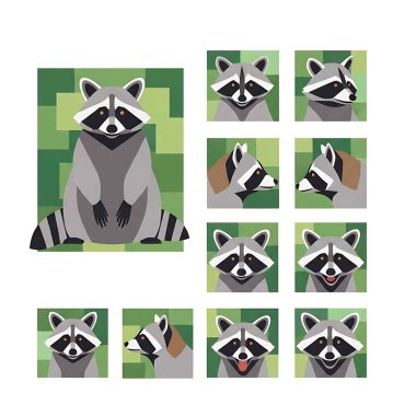 Rakun seti, vektör illüstrasyonu.