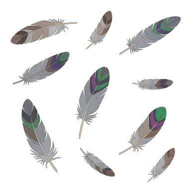 Tüy ve tüy simgesi seti