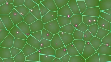 Parçacıklı Yaprak Hücrelerinin Mikroskobik Görünümü.