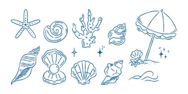 Deniz kabuğu ve mercan koleksiyonu. Bekarlığa veda gezisi için mavi çizgili sahil unsurları..