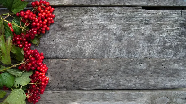 Viburnum on a wooden background, for an inscription — Stock Photo, Image