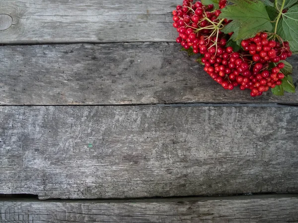 Viburnum på trä bakgrund, för en inskription — Stockfoto