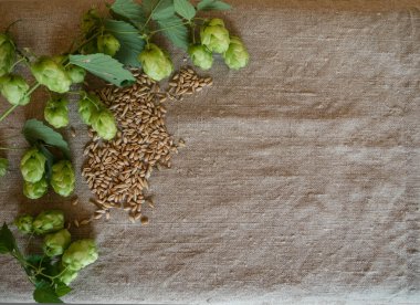 malt ve Sivas'tan atla