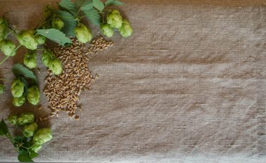 malt ve Sivas'tan atla