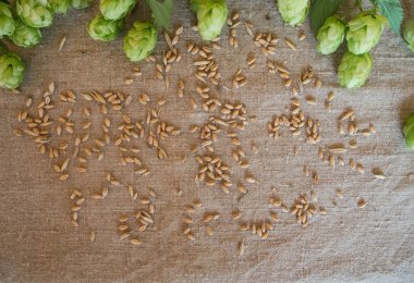 malt ve Sivas'tan atla