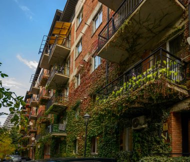 Saburtalo, Tiflis 'teki kırmızı tuğlalı evlerin panoramik manzarası. Ön cephelerinde asmalar var. Kentsel mimari ve doğanın birleşimi.