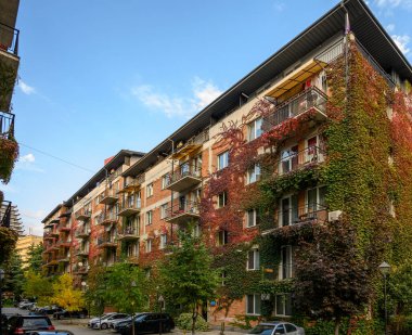 Saburtalo, Tiflis 'teki kırmızı tuğlalı evler ön cephelerindeki asmaları gösteriyor. Kentsel mimari ve doğanın birleşimi rahat bir manzara yaratır..