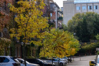 Arabalar bir konut binasının avlusuna park edilmiş. Kentsel altyapı, şehir hayatı ve ulaşım temaları için ideal.
