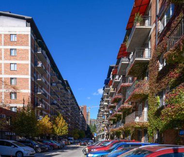 Sonbahar yabani üzüm yaprakları, Kuzey Avrupa mimarisini sergileyen kırmızı tuğla evlerin cephelerini kaplıyor..