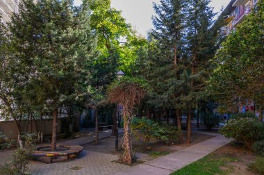Yeşil bitkiler arasındaki yaya yolları konut kompleksinde yürümek ve dinlenmek için rahat bir yer oluşturur.