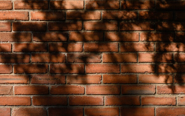 Textured red brick wall covered with delicate shadows from leaves and branches. Light and shadow play adds depth, creating an atmospheric urban background with natural accent.