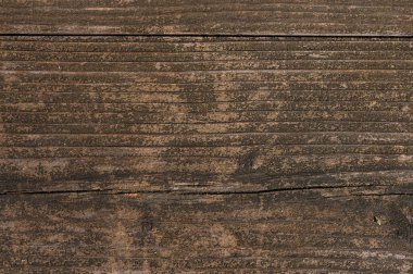 Engebeli bir ağaç gövdesinin makro çekimi. Karmaşık ahşap tahıl ve desenler sergiliyor. Köy geçmişi ve doğa temalı projeler için mükemmel..