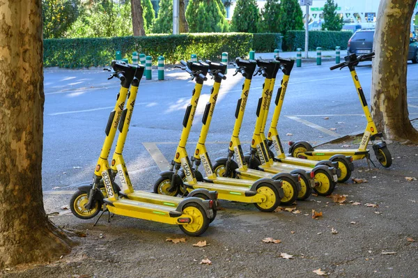 Tiflis, Georgia11,06.2025 Modern sarı elektrikli scooterlar bir şehir caddesinde hizalanmıştı. Kentsel hareketlilik ve çevre dostu ulaşım sembolü, güneşli gün, kentsel altyapı.